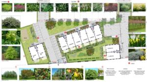 Esquisse du jardin de « L’ilot nuance », le premier projet d’Habitat du Nord à intégrer une dimension végétale poussée dès sa conception. ©Habitat du Nord